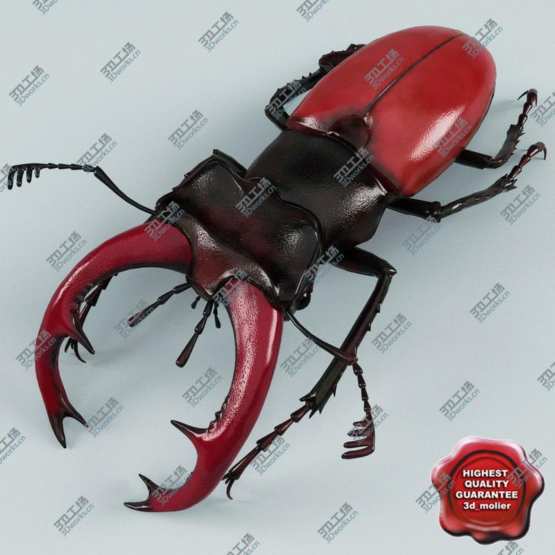 images/goods_img/20210319/Insects Collection V6/2.jpg